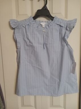 Time and Tru Light Blue Pinstripe Ruffle Sleeve Top